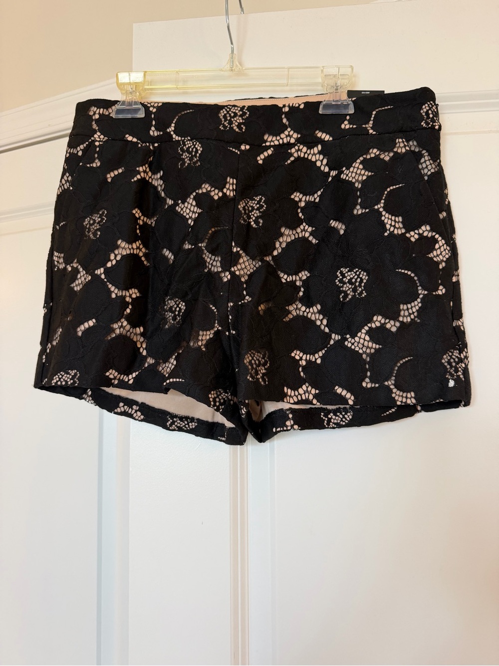 Express Black Lace Shorts with Nude Lining